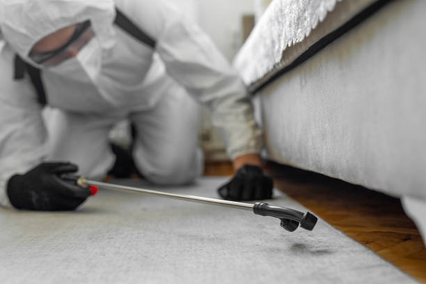 Professional Bed Bug Control technician working in West Palm Beach, FL