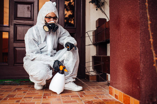 Reliable Bed Bug Control contractor in West Palm Beach, FL by Nex Pest Control